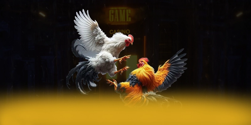 DAGA88 - Nhà cái được game thủ yêu thích được yêu thích nhất – Khám phá top DAGA88