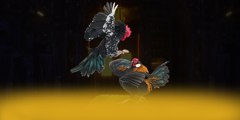 DAGA88 - Trang game mượt mà tại Việt Nam