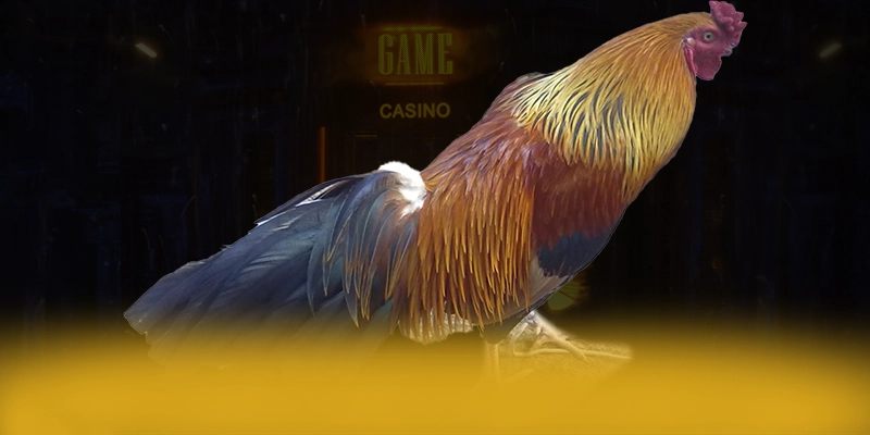 DAGA88 - Cổng giải trí nhiều khuyến mãi siêu hot được người chơi tin tưởng – Cập nhật ngay DAGA88