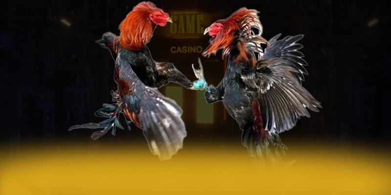 Khám phá ngay VWIN - Cổng game chất lượng cho người chơi
Khám phá ngay VWIN - Cổng game chất lượng cho người chơi