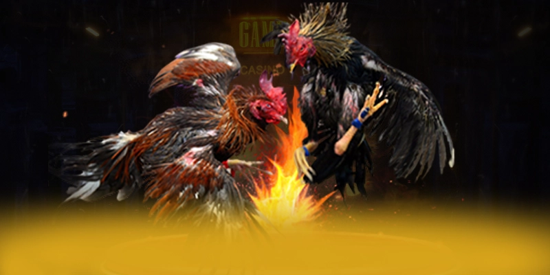 
Đánh giá DAGA88 - Cổng game chất lượng được cộng đồng đánh giá cao
