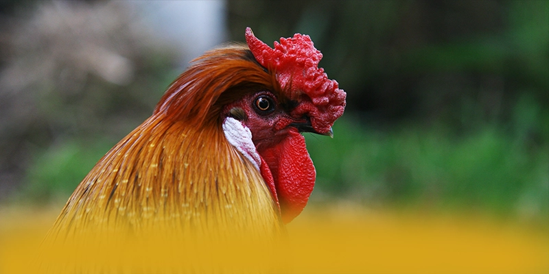 
Khám phá ngay SUNWIN - Cổng giải trí chất lượng trên thị trường
