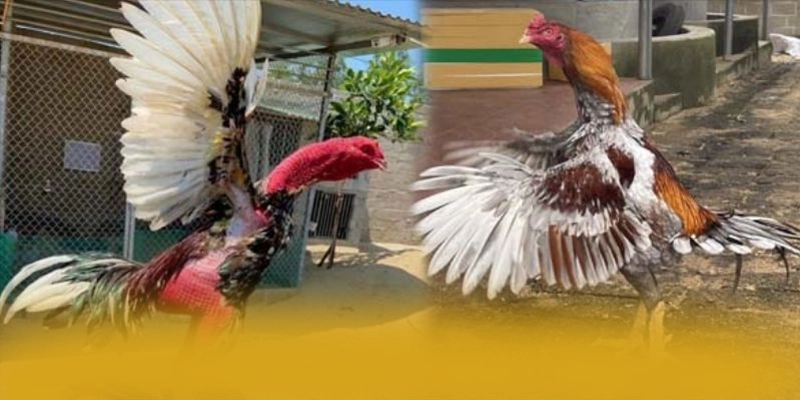 WIN79 - Thương hiệu sở hữu top trò chơi nổi bật đang làm mưa làm gió trên thị trường – Khám phá WIN79