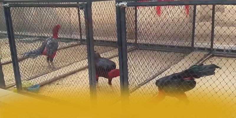 SUNWIN - Sảnh game hấp dẫn hiện nay – Cập nhật ngay SUNWIN