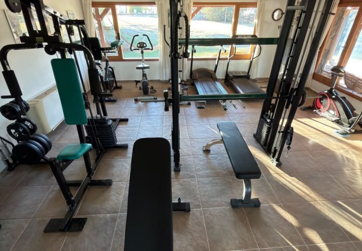 Gimnasio